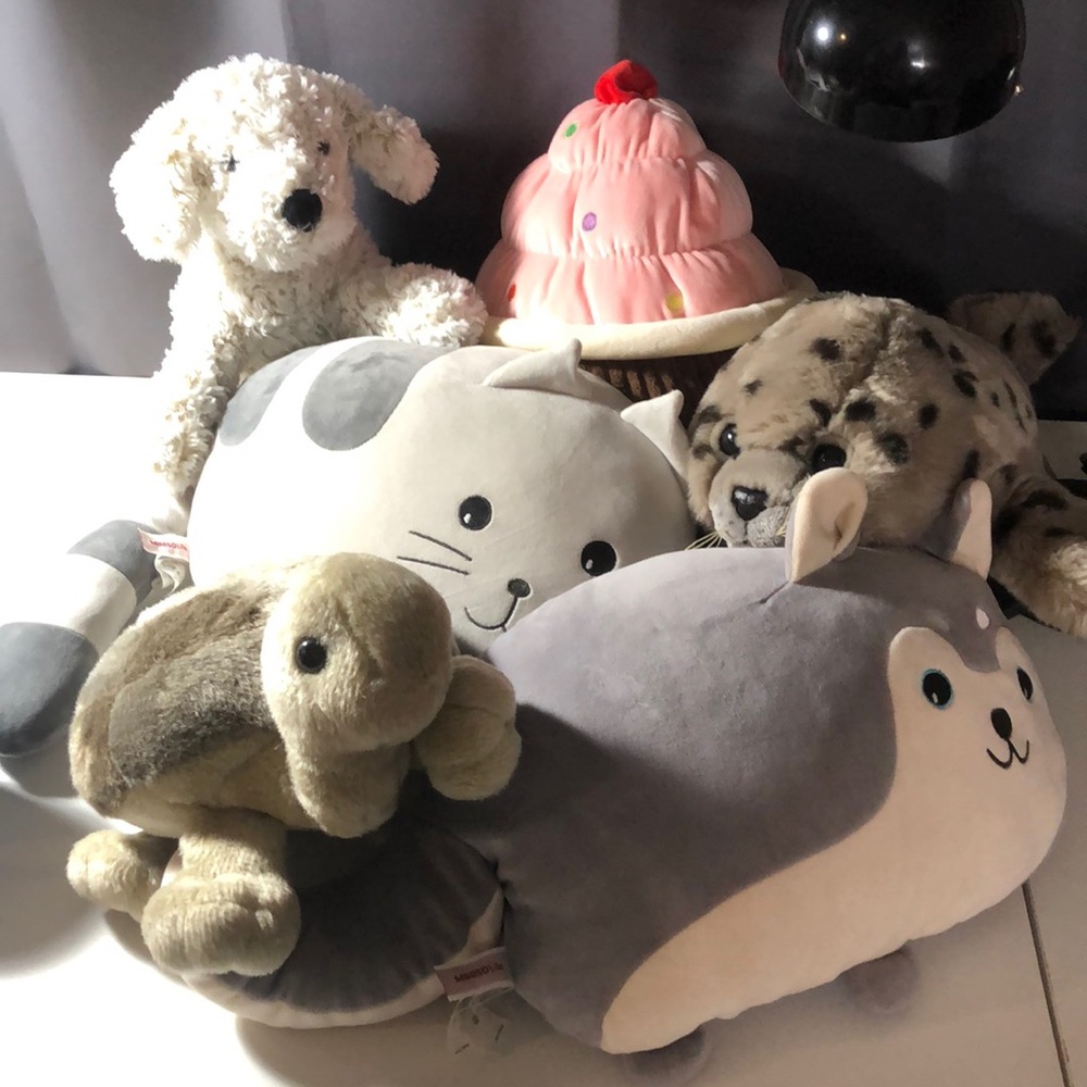 Miscellaneous plushy